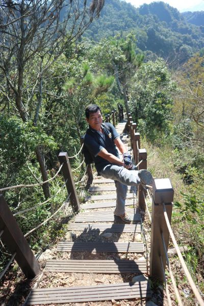 台中頭嵙山1號-5號-2號步道224664