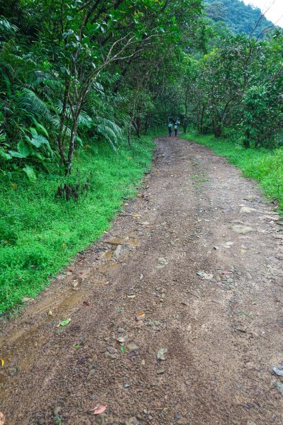 淡蘭古道中路之中坑、崩山坑古道O型685801