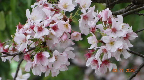 沒有意外，再度槓龜 !876570