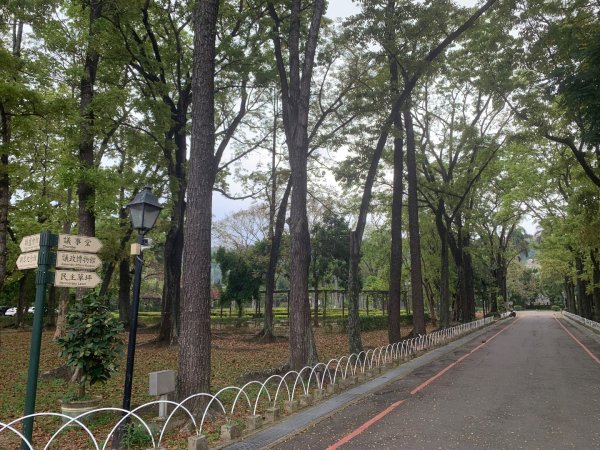 阿罩霧山、中心瓏步道2768905