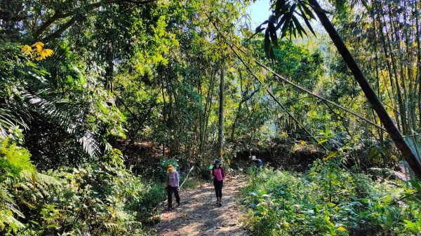 🌈2/15（六）白雲山+西阿里關山小百岳🌈FB：熊熊趴爬走 歡迎加入2714923