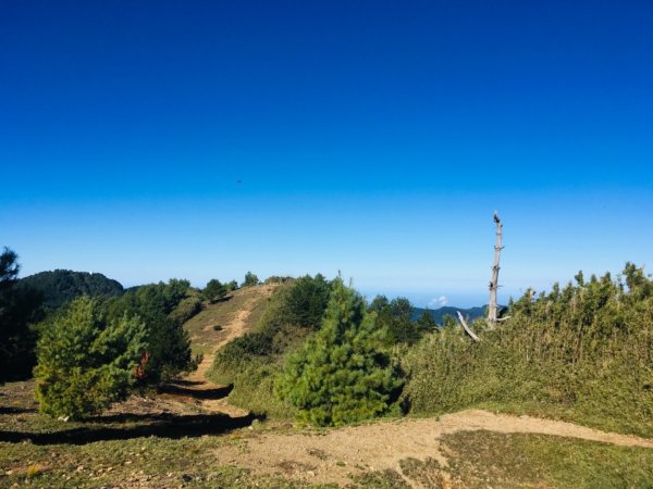 20181021-麟趾山&鹿林山444985