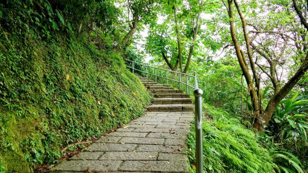 大尖山步道2833796