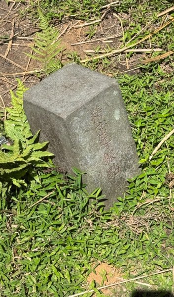 上磺溪橋走魚路古道/金包里城門/擎天崗/冷水坑2872347