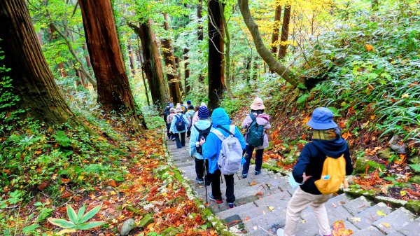 山形縣羽黑山神社2929696