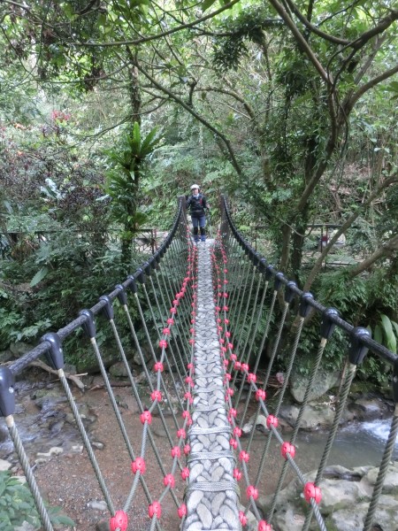 指南宮貓空步道247871