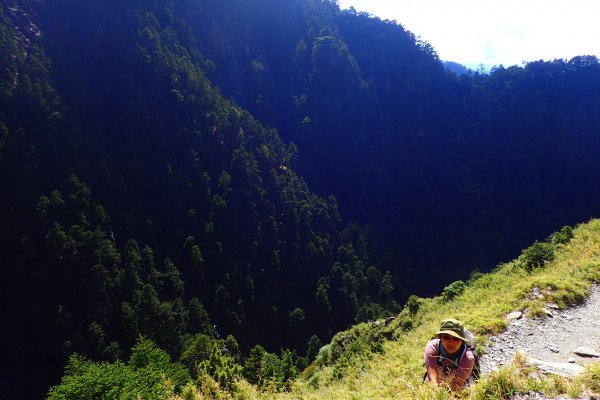 登峰造極--2018玉山主峰532538