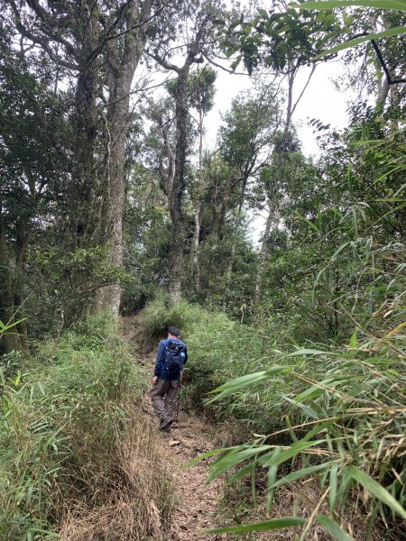 山上人家→鵝公髻山 原路折返689325