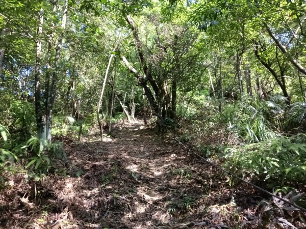 汐止區金明山B線+如意湖O型2860238