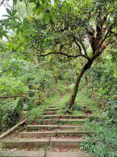【台中北屯】南觀音山步道2933188