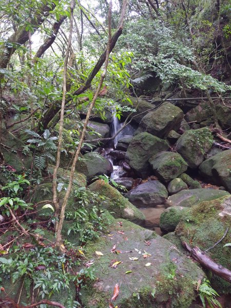 臺北大縱走第四段1515962