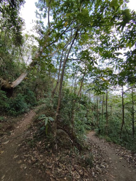 2023.11.30 九份二山2677673