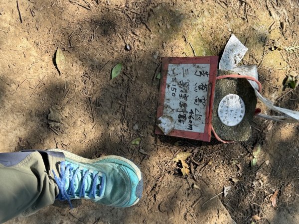 20260221 飛沙新路3003421