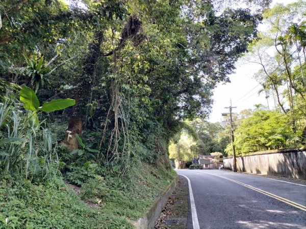 北宜路-崎頭崙山-六分山-肆方巖-楣子寮溪-銀河洞O型走2139119