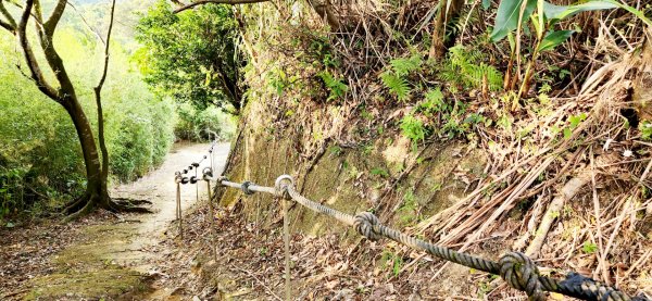 汐止新山夢湖，石獅山，翠谷橋壺穴，內湖大崙尾山，明舉山，康樂山，翠山步道，汐止金龍湖，學頭坡山2210478