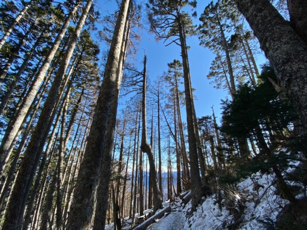 一個人的雪山778752