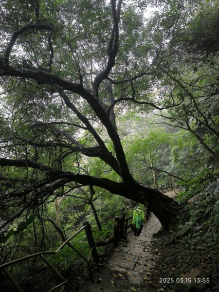 溪洲山2736206