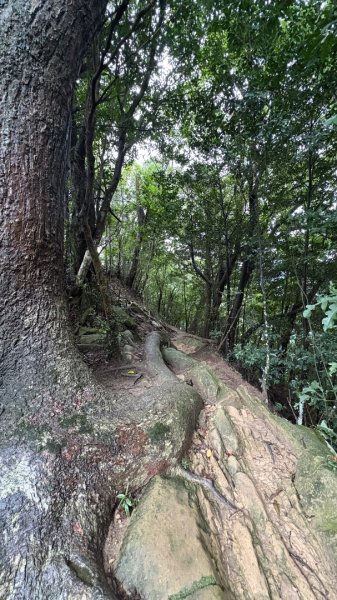 大雨後🙄2845403