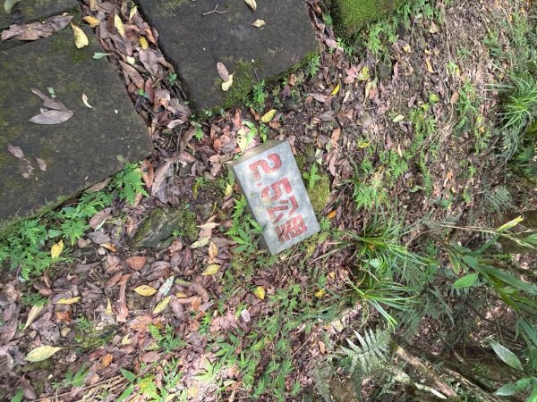 大溪漁港越嶺桃源谷下大里天公廟(蕃薯寮山 福德山 灣坑頭山/小百岳#82)3054169