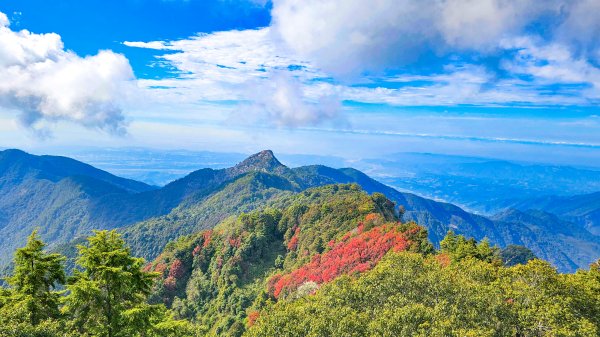 20251212稍來山賞楓2982018