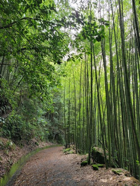 大凍山步道2235067