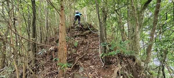 2025/05/17-凌空廊道至比麟山來回2790082