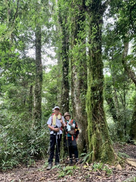 鵝公髻山步道（小百岳）2279647