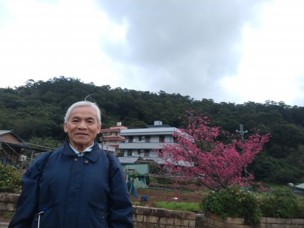 貴子坑下菁嚳步道1453743