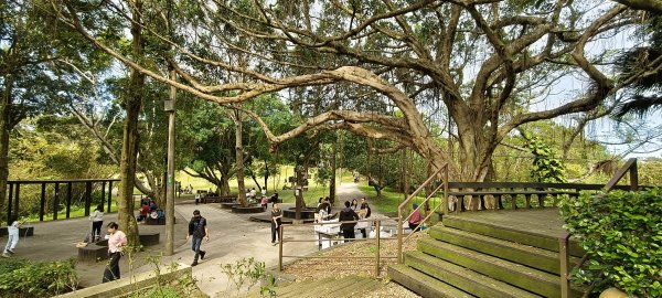 2026/01/25-五酒桶山、山鼻山步道2988098