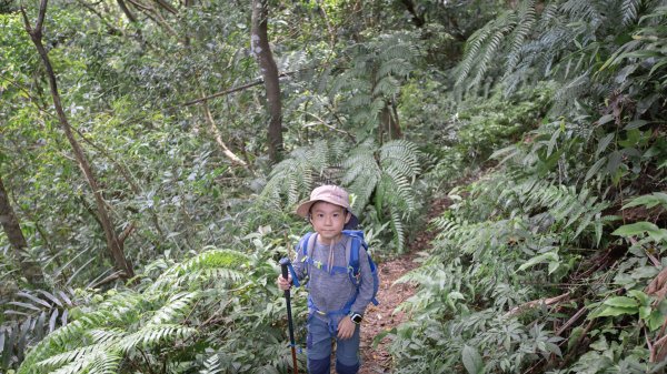闊瀨古道-沿北勢溪谷而行的夏末之旅（淡蘭古道）2287651