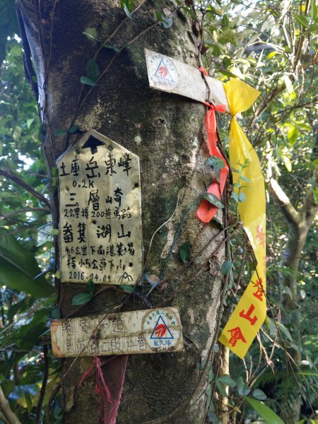 土庫岳(小百岳)繞行隱藏林中[山豬淚湖]759760