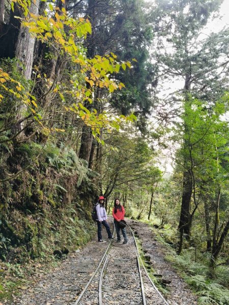 見晴懷古步道2940565