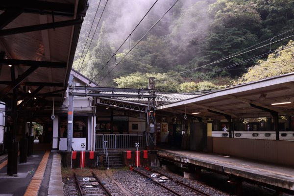 高野参詣道：不動坂に始まり祈りは奥の院へ2923221