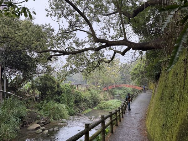 [樟之細路_第一大段RSA01] 2026_0329 清水坑溪景觀3026604