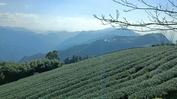 頂湖六連峰 2021年12月4日1537692