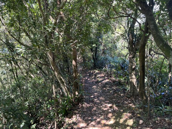 [微笑山線_第九段] 2025_0914 二格山系_天王峰2889534