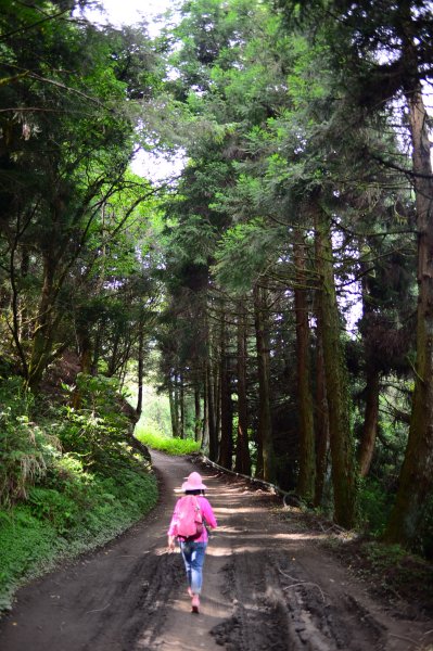 合歡溪步道～～讓人屏息驚艷的靖藍溪流步道1020462