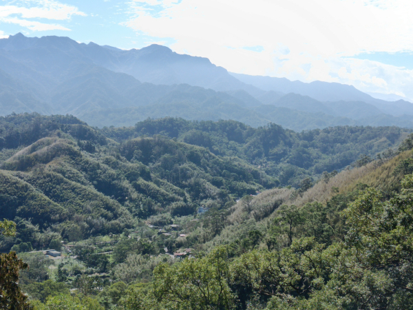 大溪區湳仔溝古道+頭寮山+內湳溝山+東竹篙厝山+林嵩壽山+大艽芎古道+湳仔溝步道O型