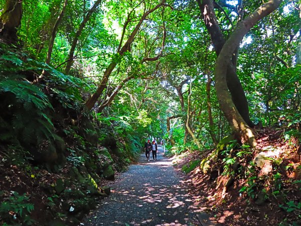 夏季清涼步道：翠峰瀑布與步道619572