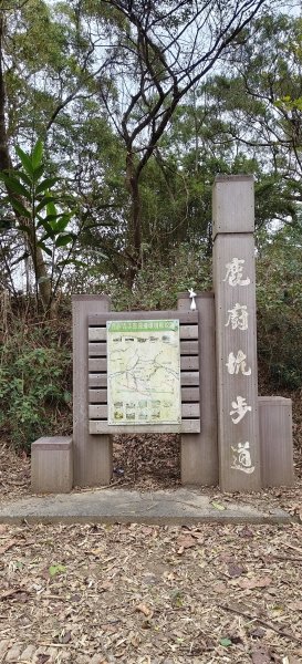 2025/01/04_鹿廚坑健行步道2683473