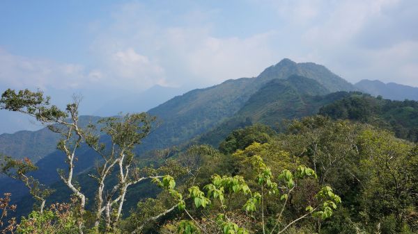 真笠東北峰-鱈葉根山109869