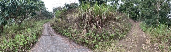 20250129高雄塔羅留山-塔羅留山南峰-他果晏山2705280