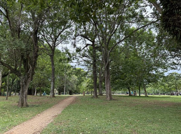 [紐約馬之行-69] 2025_1116 伊比拉布埃拉公園-下2955175