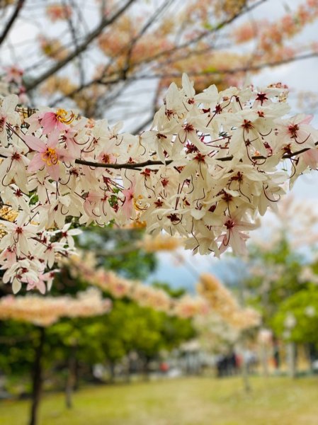 1090412臺南刣牛湖山步道914679