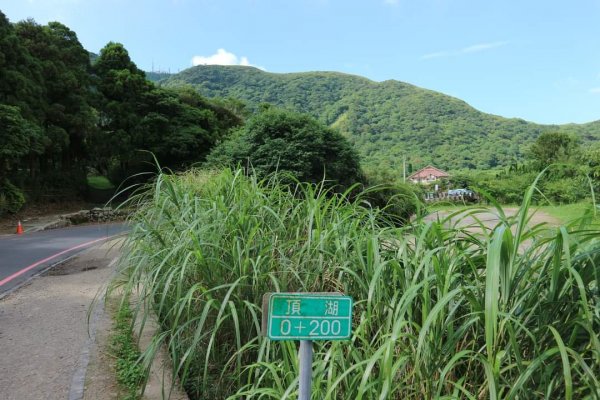 陽明山  菜公坑山 反經石   水車寮步道。林木蓊鬱  豐富的蕨類植披，絕佳避暑古道2174006