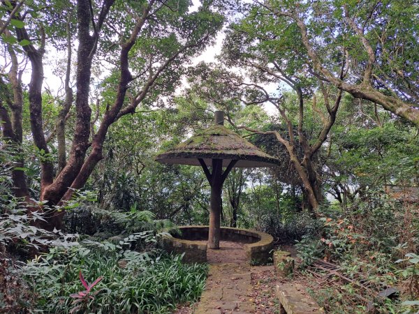 小百岳集起來大崙頭尾山親山步道3127362