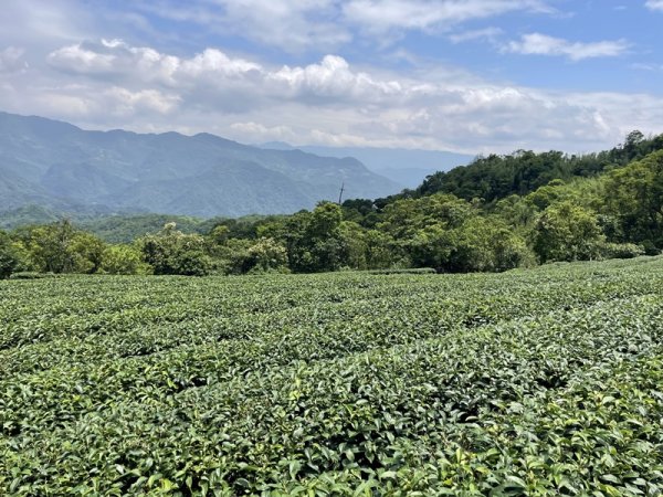 司公髻尾山2802994