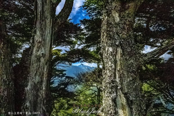 雪山主東峰下翠池919325