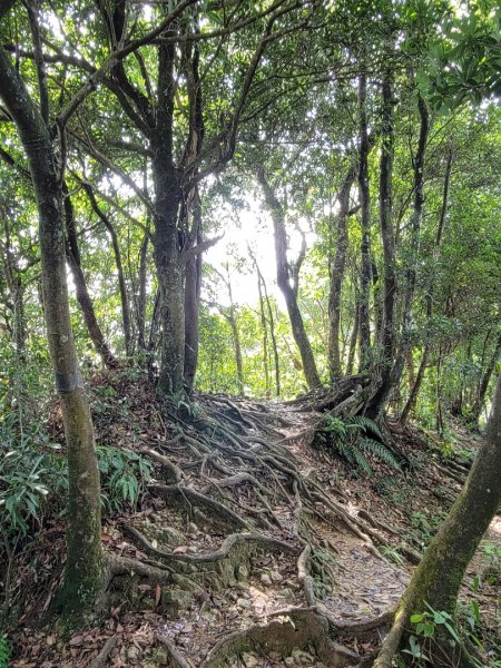 2022.07.19 台北天際線第一段 二格山-新店1769812