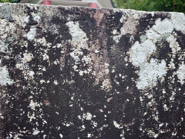 [淡蘭古道] 2026_0531 北路第四段_金字碑古道(下)-金字碑3071082